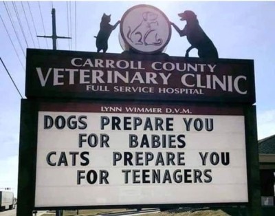 funny-signs-pics-627e21813ae0d__700.jpg